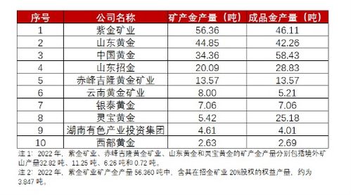 2024年白小姐四肖四码｜精选解释解析落实