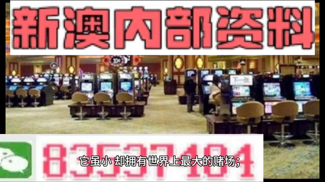 2024新澳门正版精准免费大全｜精选解释解析落实